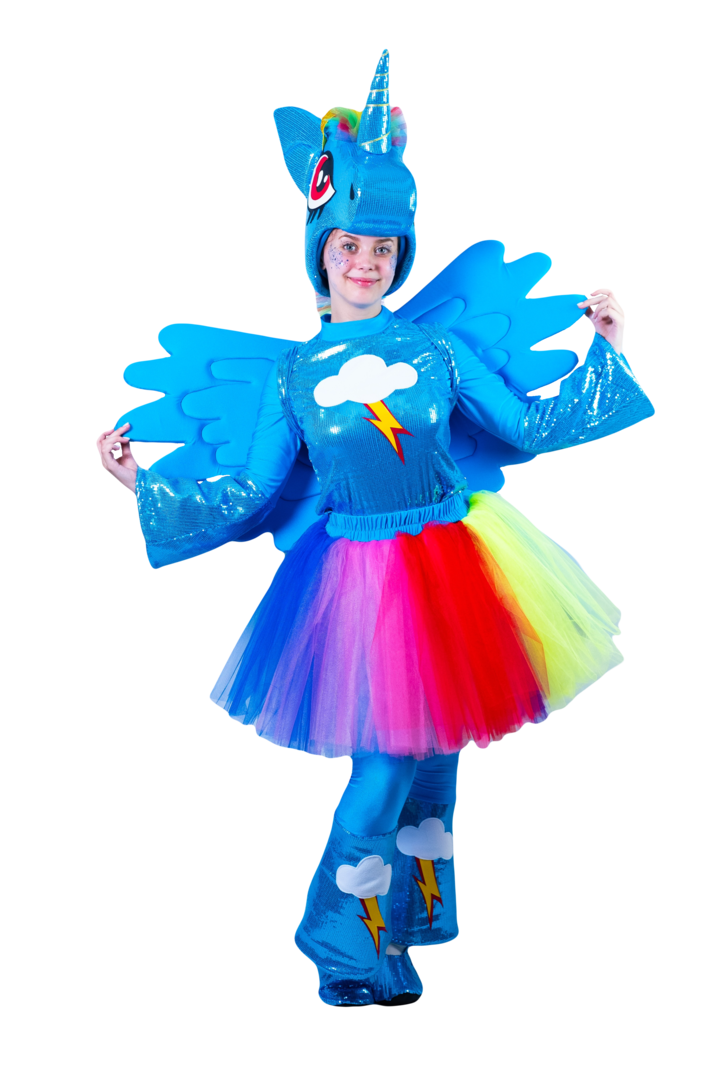 Пони Радуга Дэш