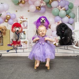 Шоу цветных пуделей